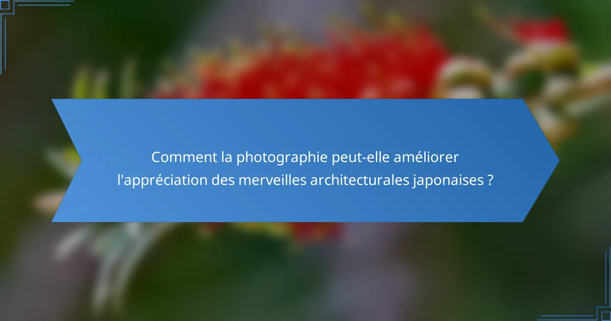 Comment la photographie peut-elle améliorer l'appréciation des merveilles architecturales japonaises ?