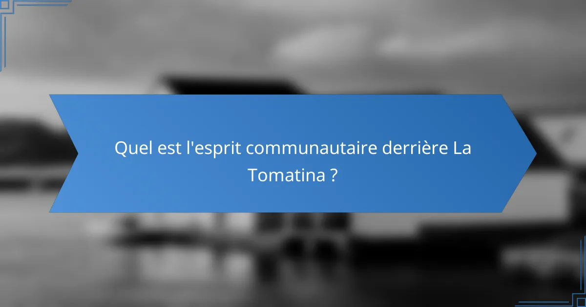 Quel est l'esprit communautaire derrière La Tomatina ?