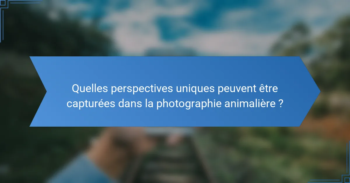 Quelles perspectives uniques peuvent être capturées dans la photographie animalière ?