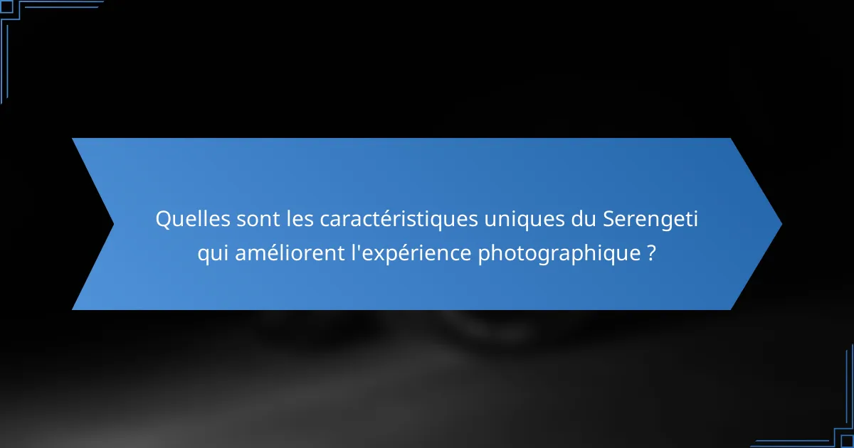Quelles sont les caractéristiques uniques du Serengeti qui améliorent l'expérience photographique ?