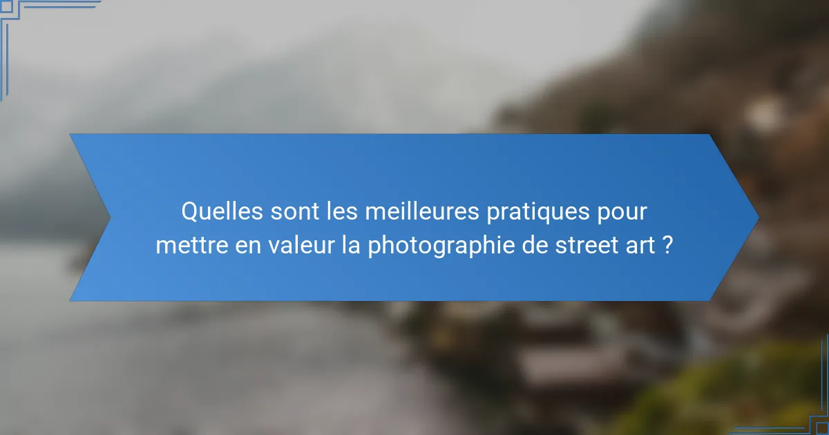 Quelles sont les meilleures pratiques pour mettre en valeur la photographie de street art ?