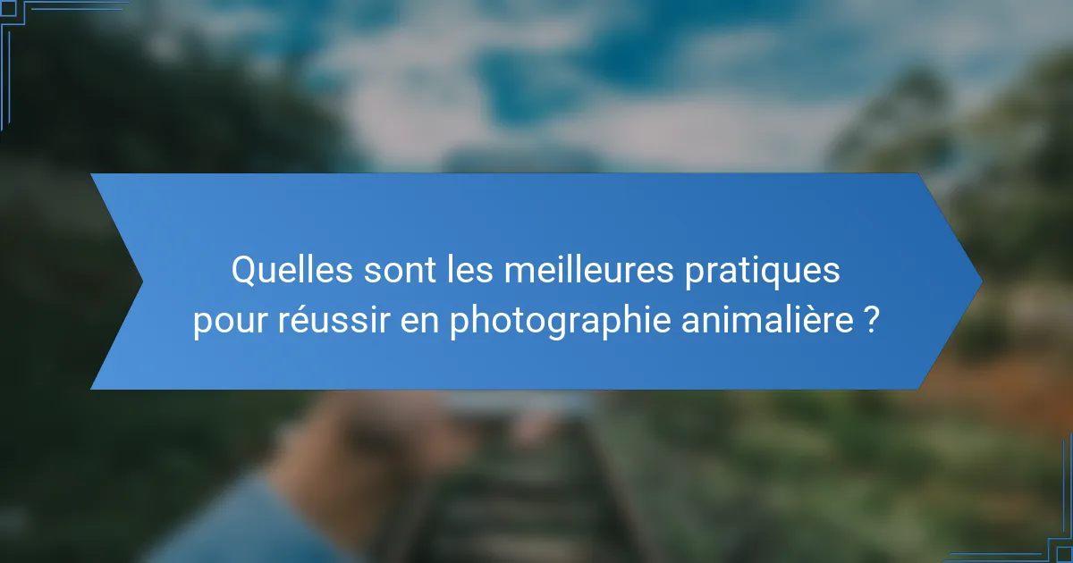 Quelles sont les meilleures pratiques pour réussir en photographie animalière ?