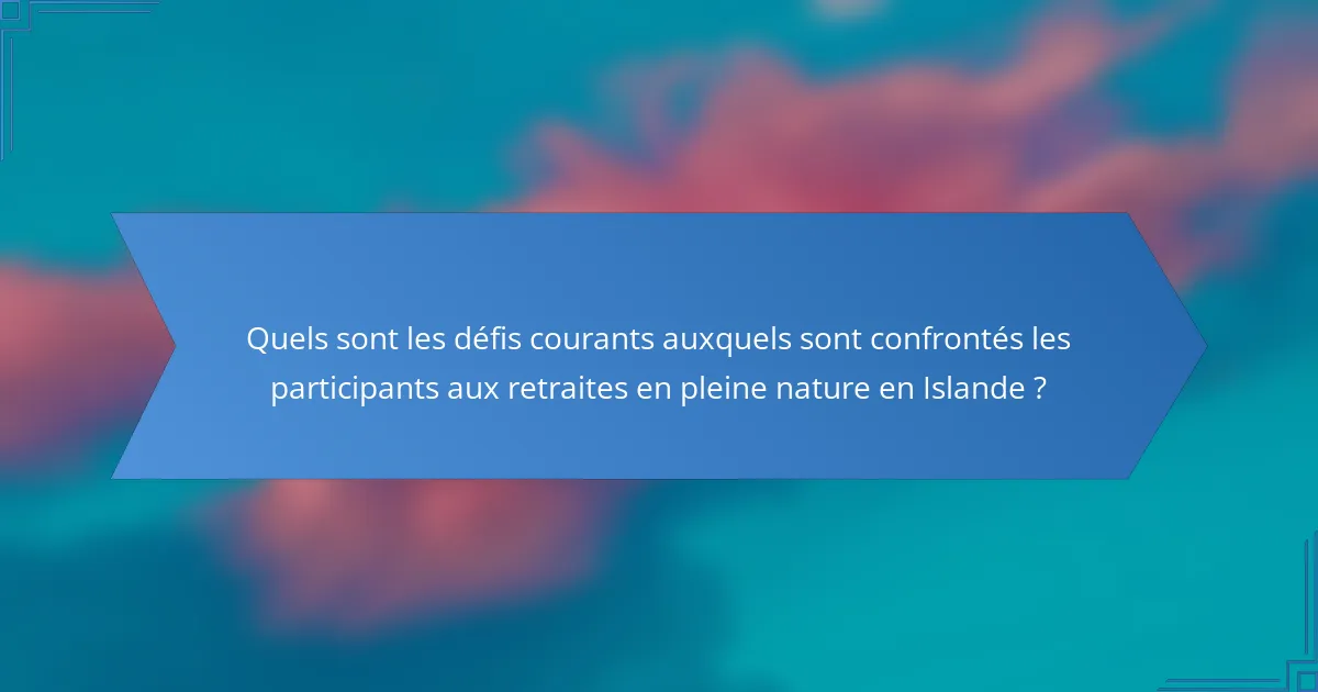 Quels sont les défis courants auxquels sont confrontés les participants aux retraites en pleine nature en Islande ?