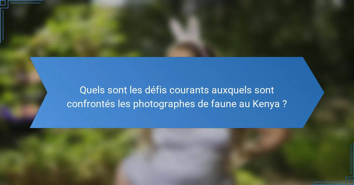 Quels sont les défis courants auxquels sont confrontés les photographes de faune au Kenya ?