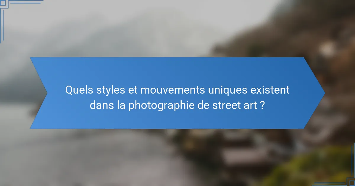 Quels styles et mouvements uniques existent dans la photographie de street art ?